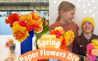 Spring DIY: Paper Flowers! 🌸