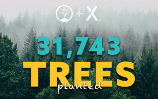 We're Planting 31,743 Trees in Canada!