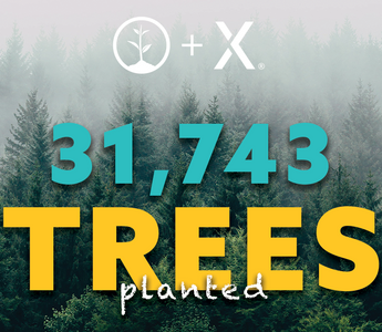 We're Planting 31,743 Trees in Canada!